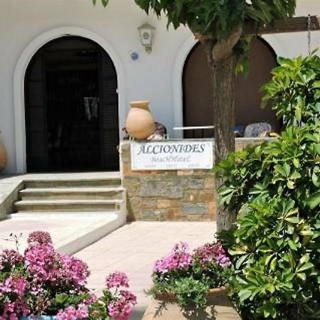Alkyonides Beach Hotel Malia Dış mekan fotoğraf